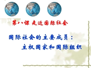 81国际社会的主要成员主权国家和国际组织