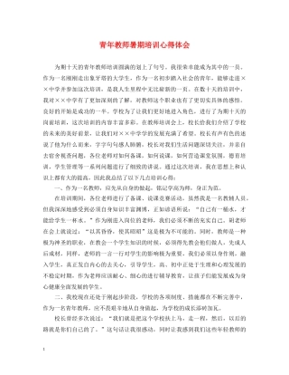 青年教师暑期培训心得体会 