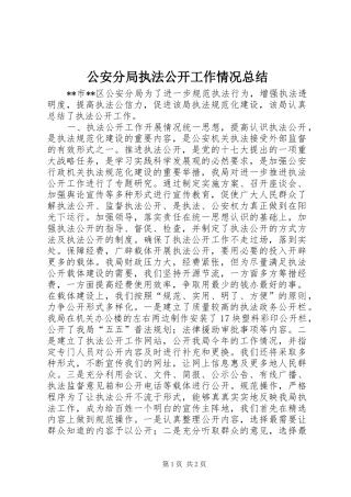 公安分局执法公开工作情况总结