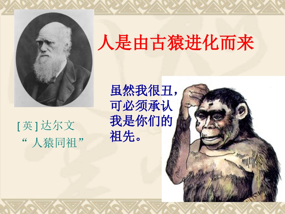 七年级第一课_第3页