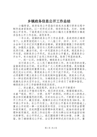 乡镇政务信息公开工作总结