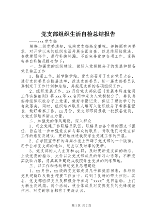 党支部组织生活自检总结报告