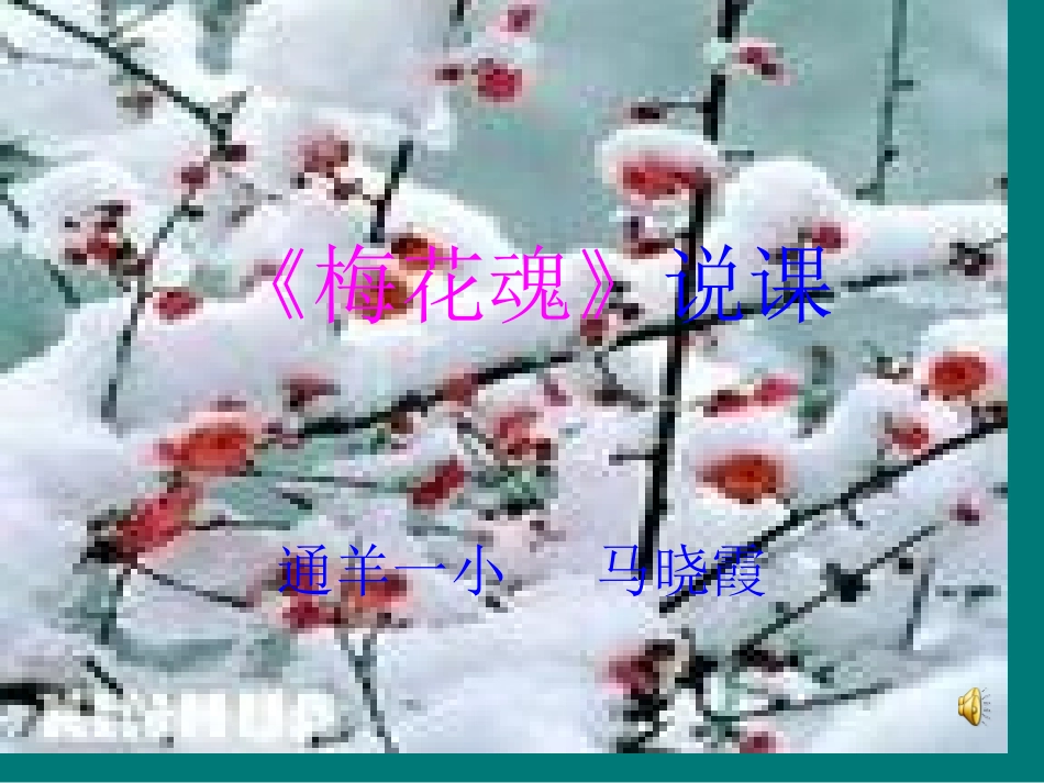 梅花魂》说课稿_第1页