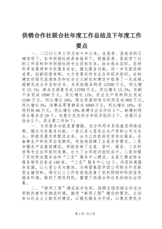 供销合作社联合社年度工作总结及下年度工作要点