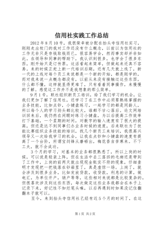 信用社实践工作总结