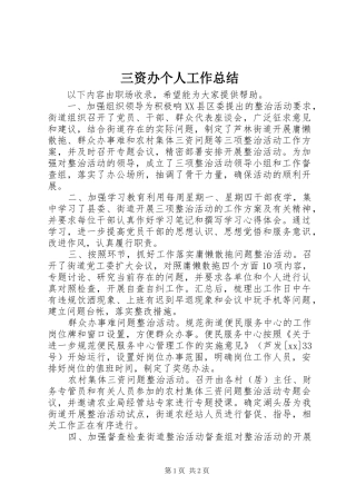 三资办个人工作总结