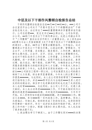 中层及以下干部作风整顿自检报告总结