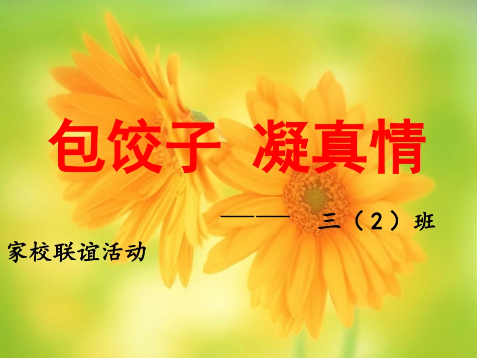 19航天飞机_第2页