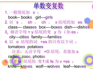 名词单复数复习