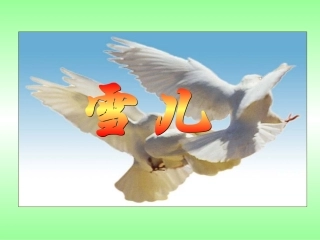 《雪儿》课件
