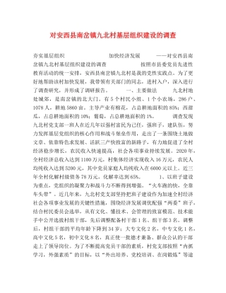对安西县南岔镇九北村基层组织建设的调查 