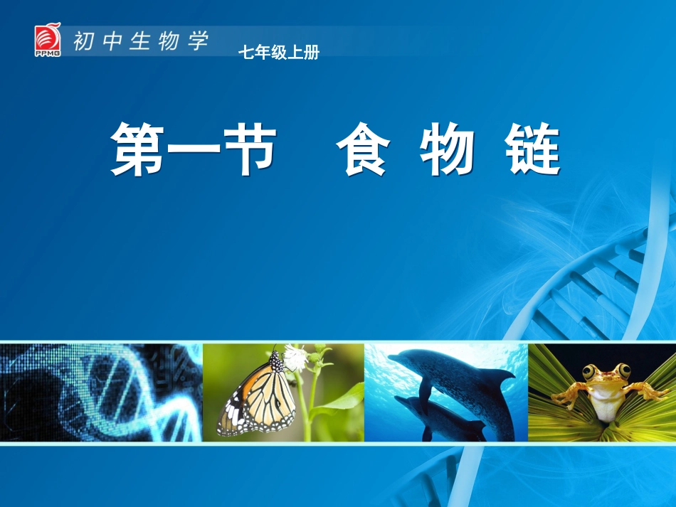 食物链-教学课件_第1页