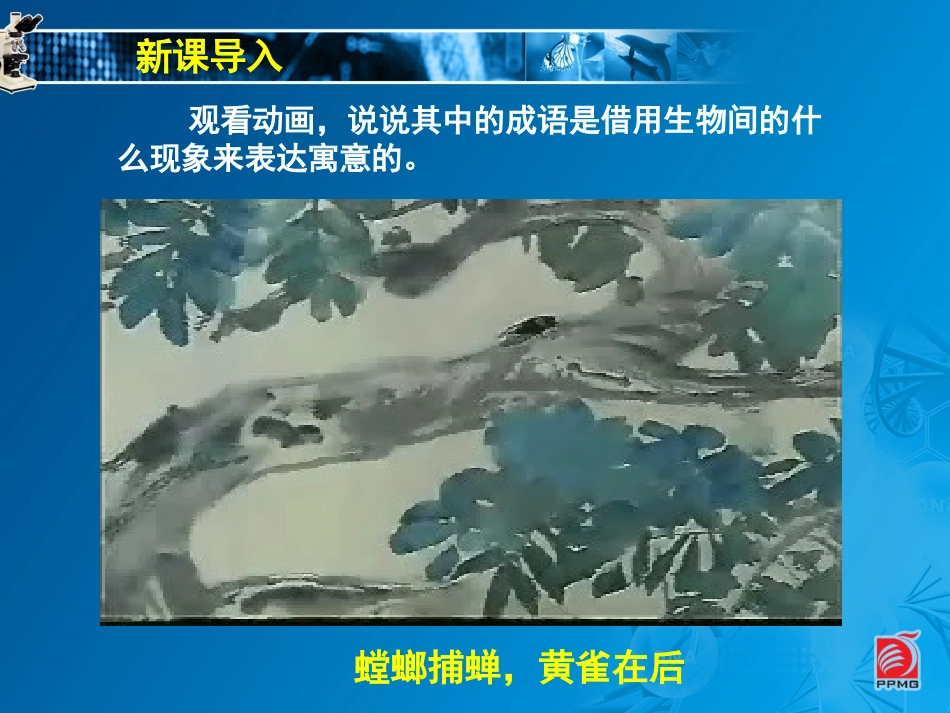 食物链-教学课件_第2页