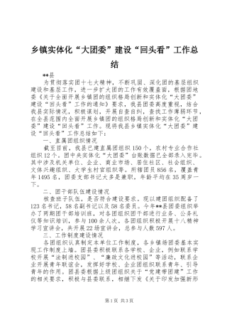 乡镇实体化“大团委”建设“回头看”工作总结