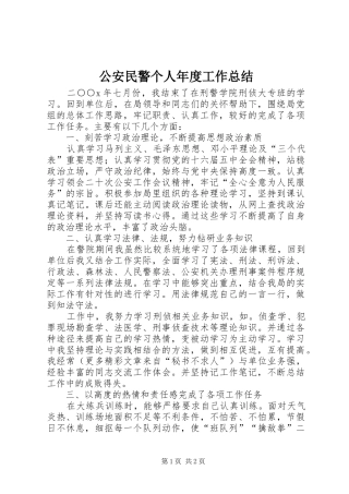 公安民警个人年度工作总结