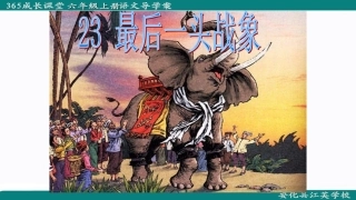 23最后一头战象 (2)