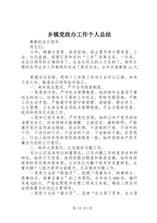 乡镇党政办工作个人总结