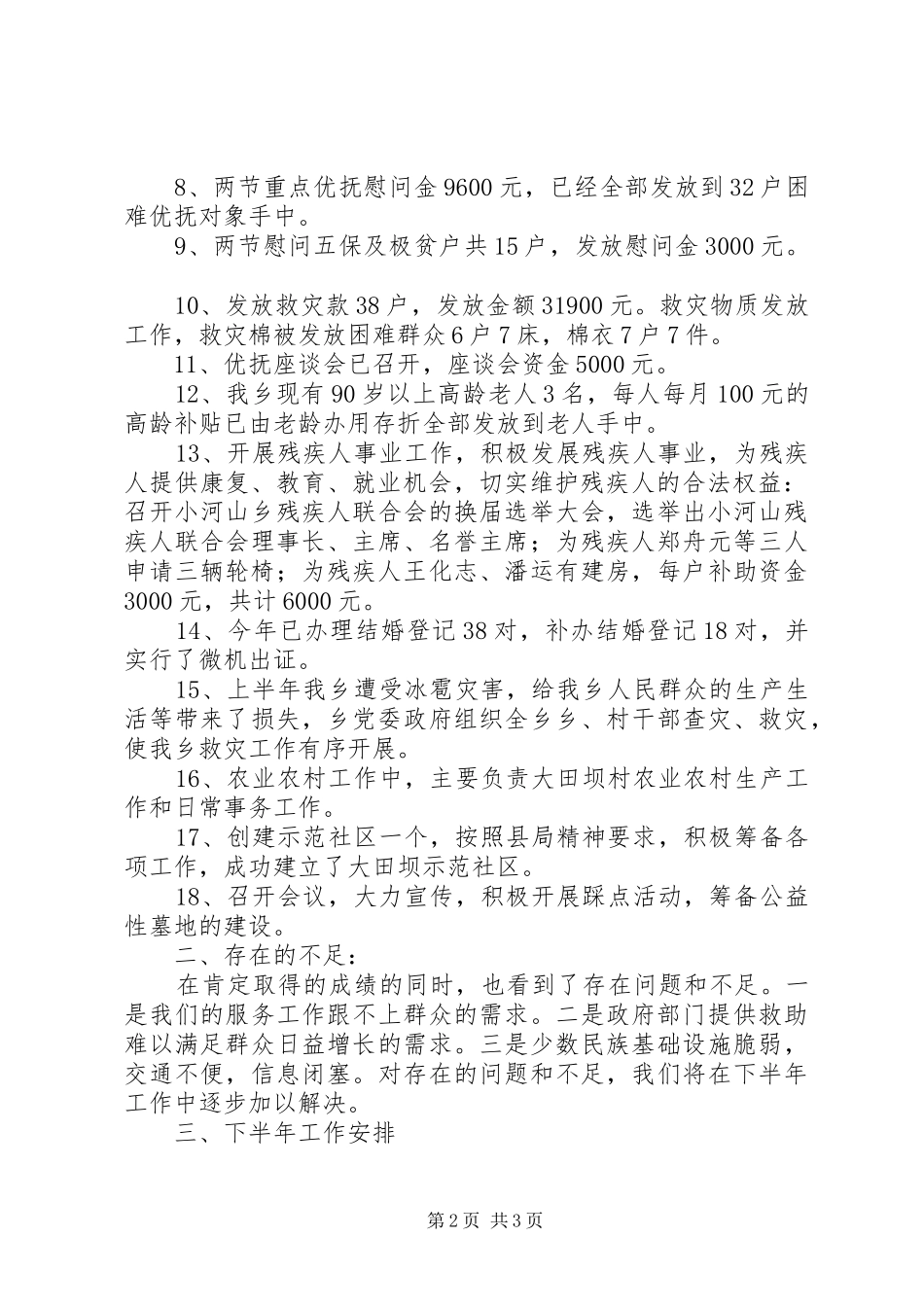 乡社会事务办半年工作总结_第2页