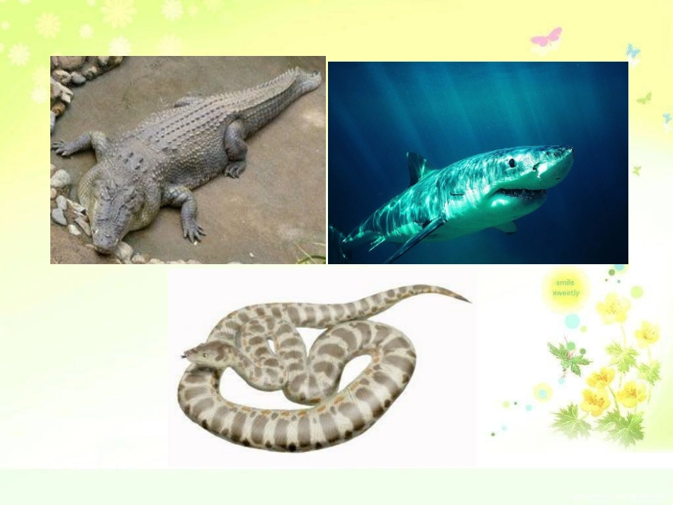 课题量一量，比一比_第2页