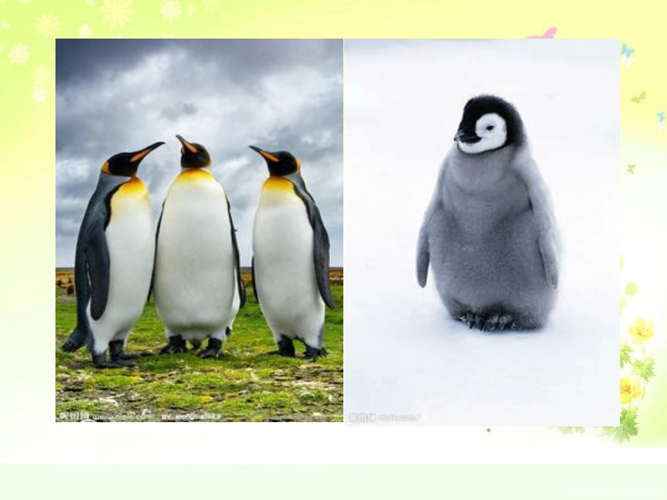 课题量一量，比一比_第3页