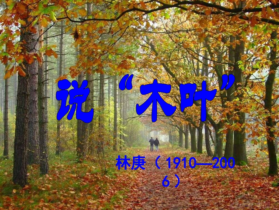 《说“木叶”》_第3页