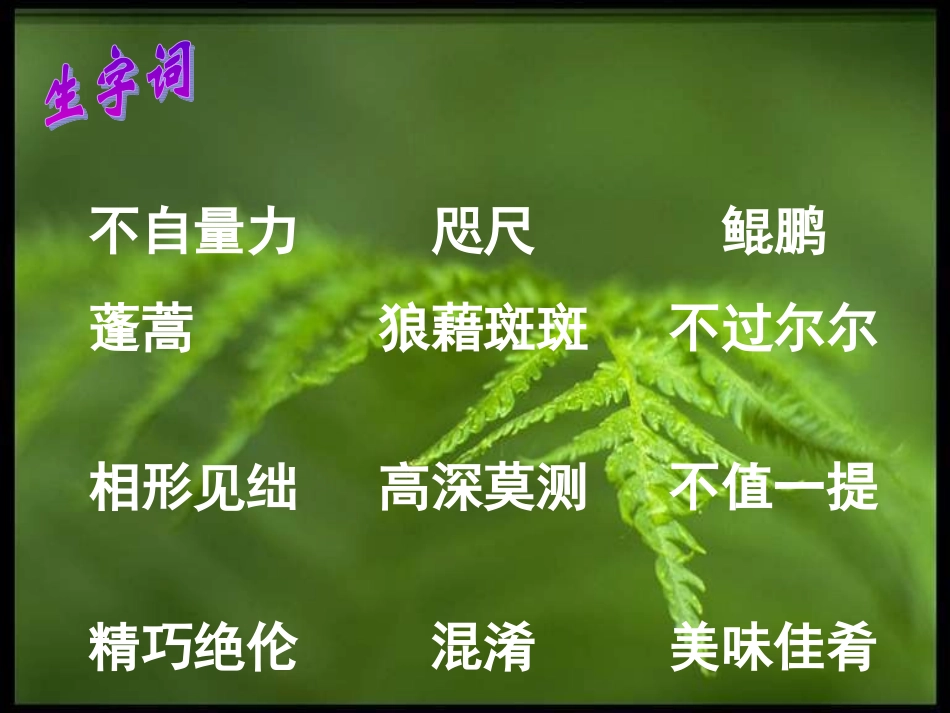 《敬畏自然》_第3页
