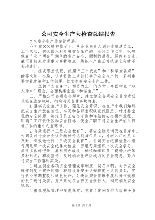 公司安全生产大检查总结报告