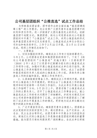 公司基层团组织“公推直选”试点工作总结