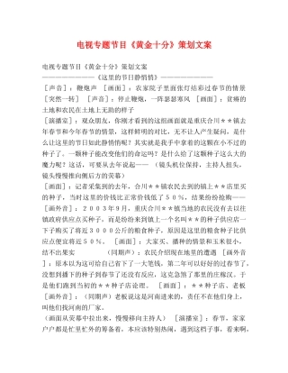 电视专题节目《黄金十分》策划文案 