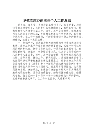 乡镇党政办副主任个人工作总结