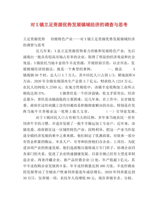 对X镇立足资源优势发展镇域经济的调查与思考 