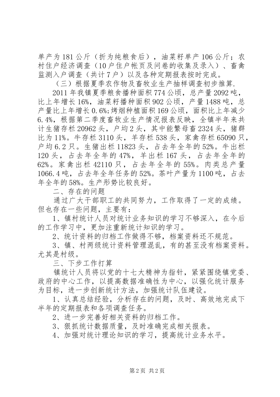 乡镇统计站年度工作总结_第2页