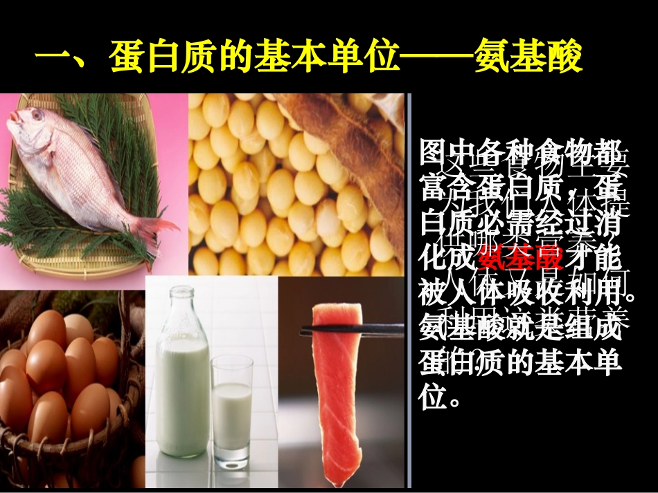 22生命活动的主要承担者-蛋白质课件（23张）_第2页