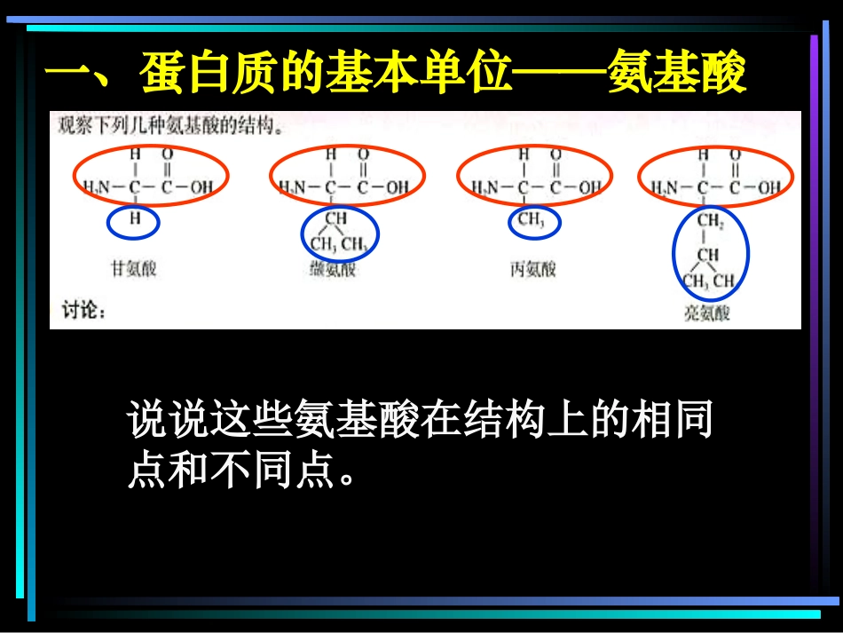 22生命活动的主要承担者-蛋白质课件（23张）_第3页