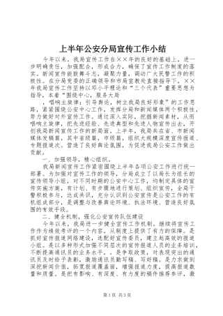 上半年公安分局宣传工作小结 (10)