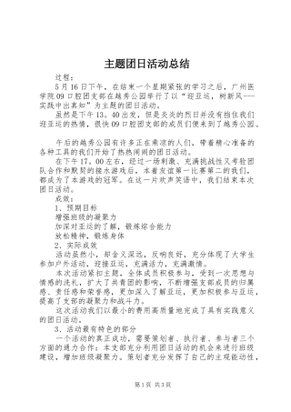 主题团日活动总结