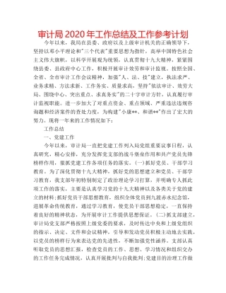 审计局2020年工作总结及工作参考计划 