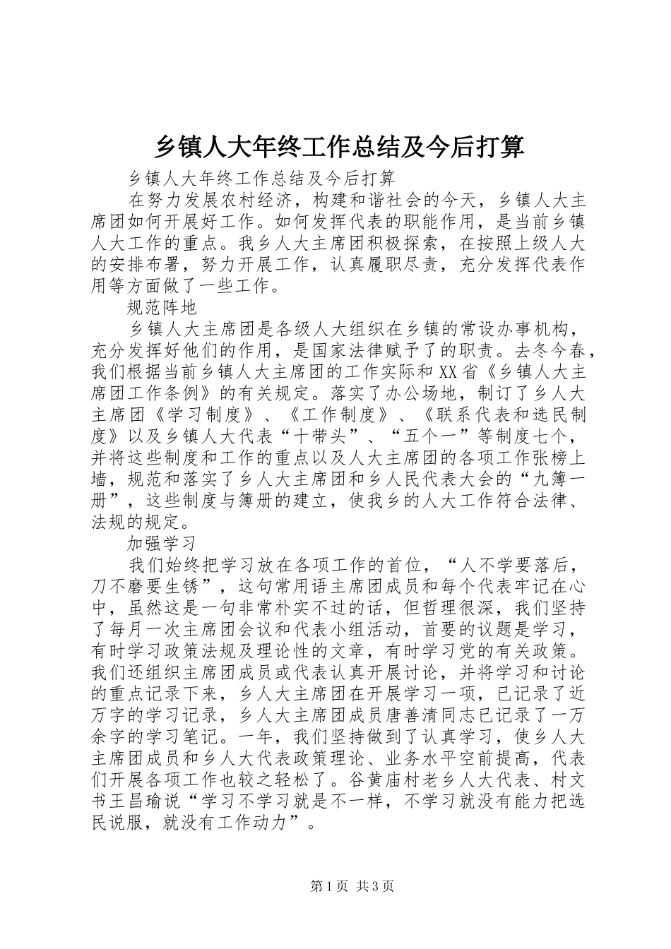 乡镇人大年终工作总结及今后打算_第1页