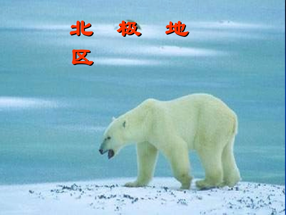 两极地区课件_第2页