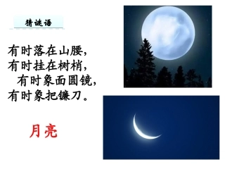 8河里的月亮