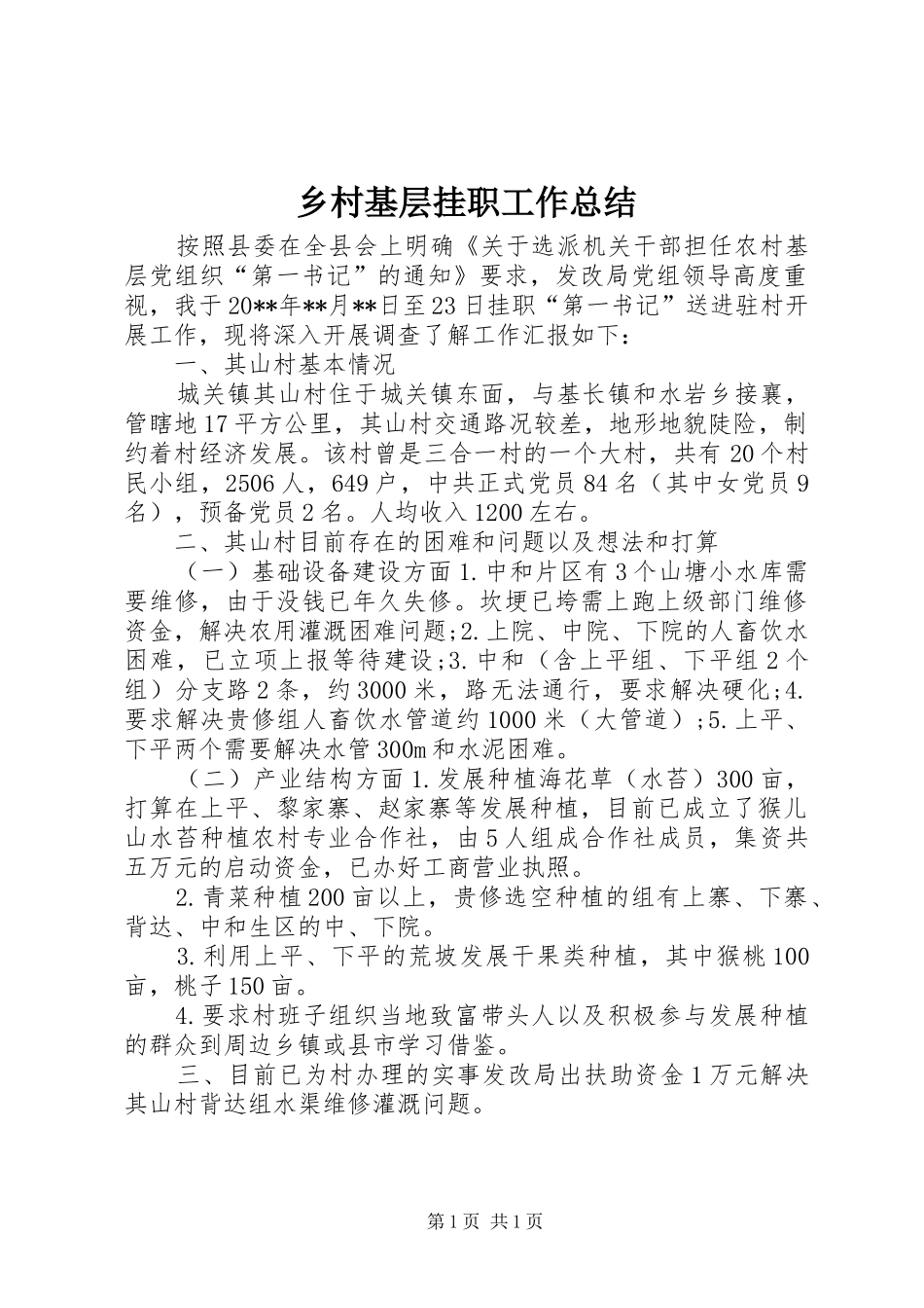 乡村基层挂职工作总结_第1页