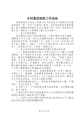 乡村基层挂职工作总结