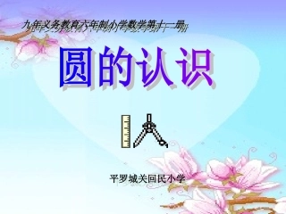 杨秀莲圆的认识