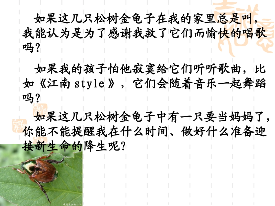 松树金龟子定稿_第3页