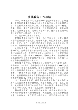 乡镇政务工作总结