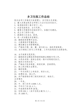 乡卫生院工作总结