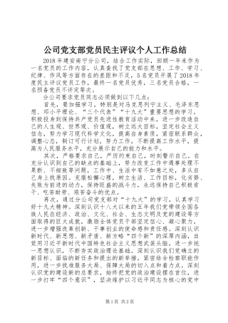 公司党支部党员民主评议个人工作总结