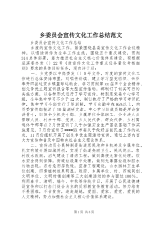 乡委员会宣传文化工作总结范文