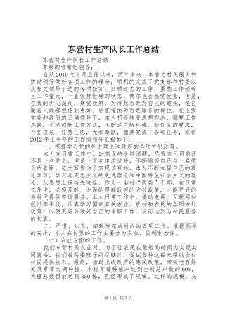 东营村生产队长工作总结