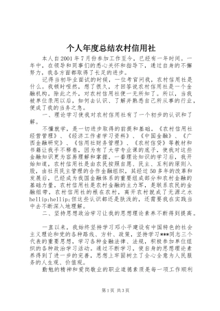 个人年度总结农村信用社